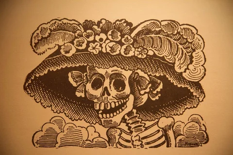 Skull illustration wearing a wide flowered hat on a tan background.