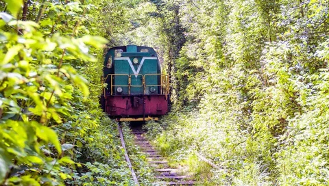 Small locomotive on tracks surrounded by summer greenery in Rivne.